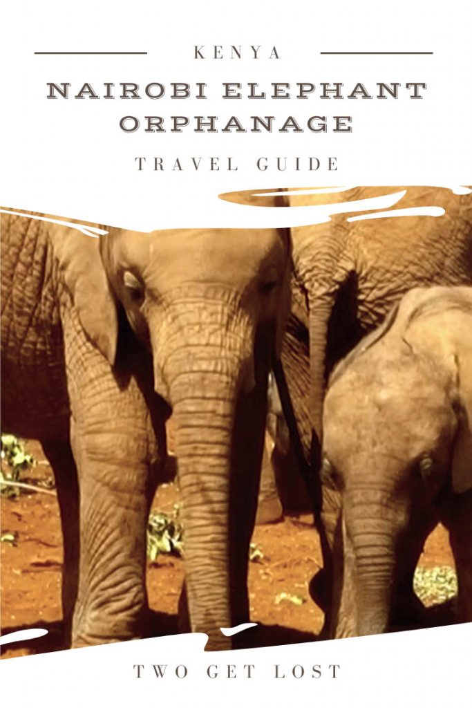 Nairobi elephant orphanage
