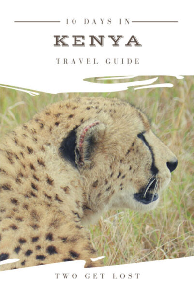 a pinterest pin for 10 days in kenya