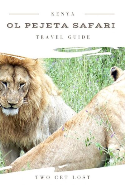a pinterest pin for ol pejeta safari park in kenya