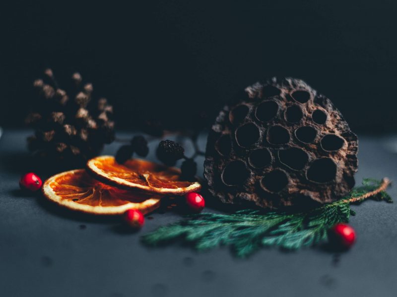 dried fruit for a christmas without presents