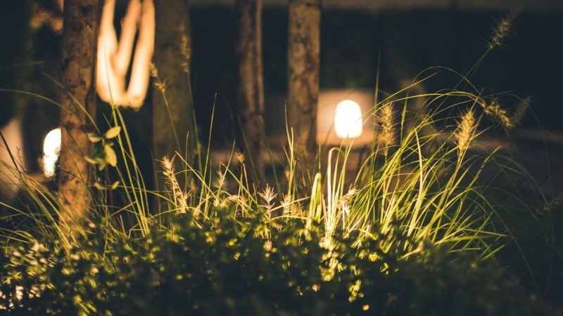some pretty lights in the grass in where to stay in Paros 