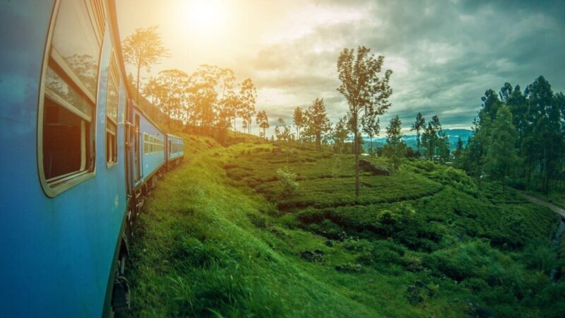 a train through sri lanka's countryside
