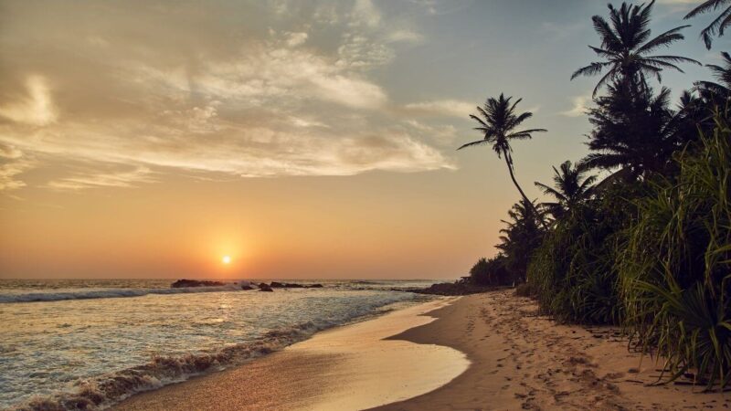 a beautiful sandy beach in sri lanka