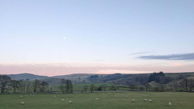 a yorkshire field