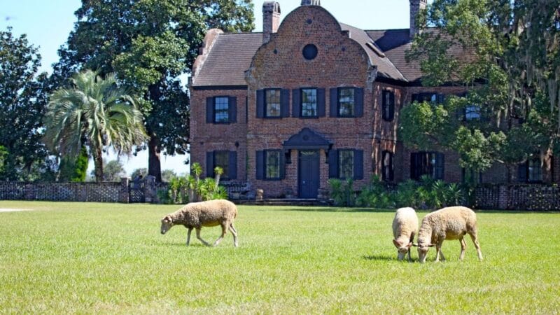 middleton place house