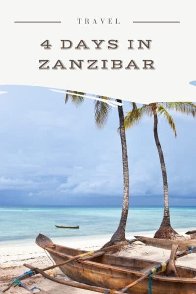 4 days in zanzibar pin