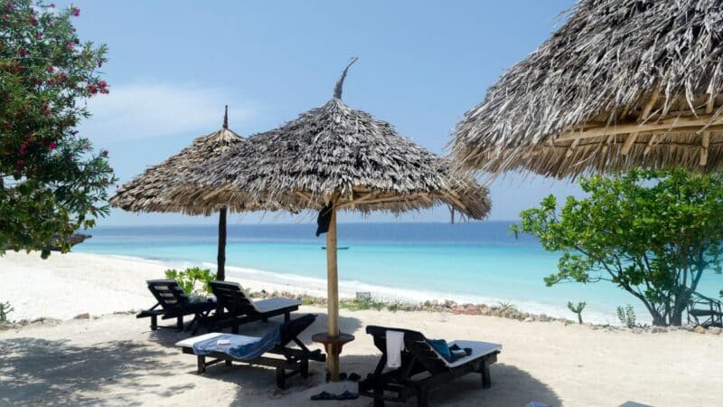 sun umbrellas on a beach in zanzibar