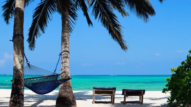 a hammock between two palm trees on the beach