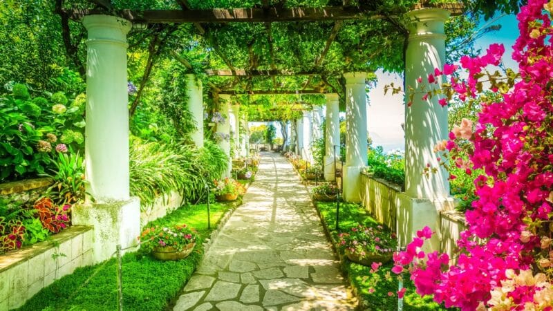 an archway full of colourful flowers