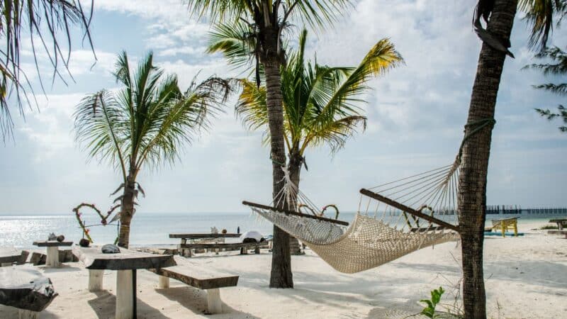 hammocks in a beach in zanzibar