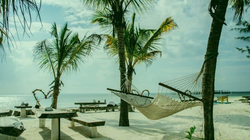 hammocks on a beach in zanzibar