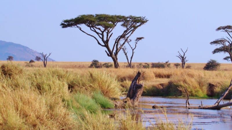 a beautiful scene making people believe Tanzania is safe
