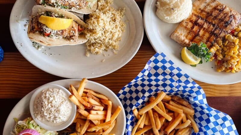 a delicious seafood meal in florida